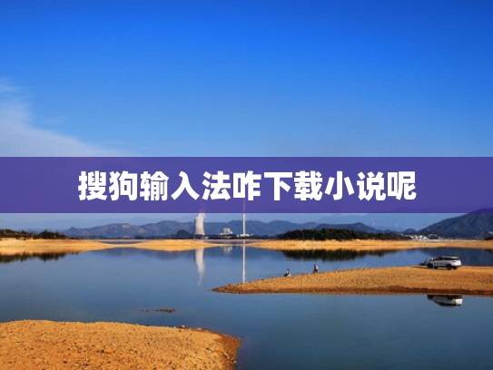 搜狗输入法咋下载小说呢