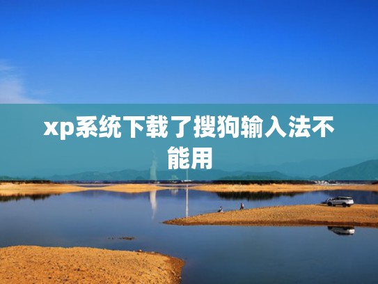 xp系统下载了搜狗输入法不能用