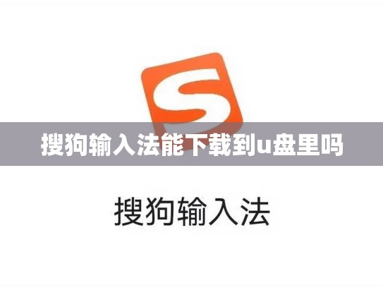 搜狗输入法能下载到u盘里吗