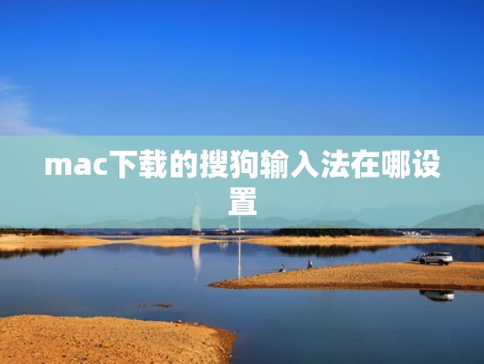 mac下载的搜狗输入法在哪设置