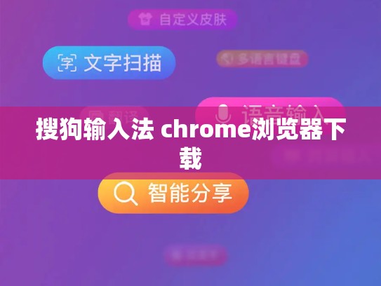 搜狗输入法 chrome浏览器下载