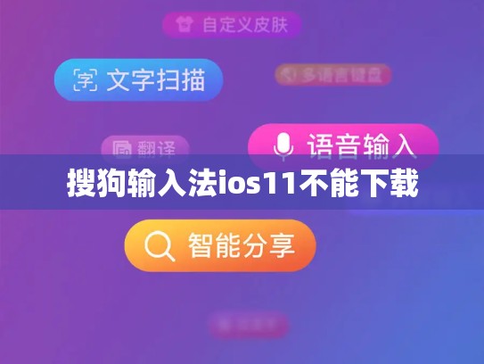 搜狗输入法ios11不能下载