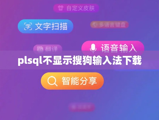 plsql不显示搜狗输入法下载