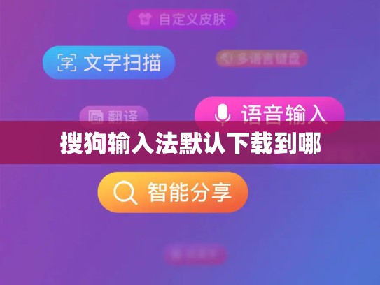 搜狗输入法默认下载到哪